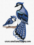 Blue Jay Birds