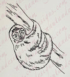 Sketch Sloth