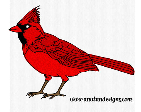 Cardinal_Bird